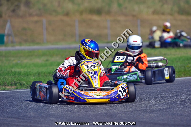 DSC_ (1358).jpg